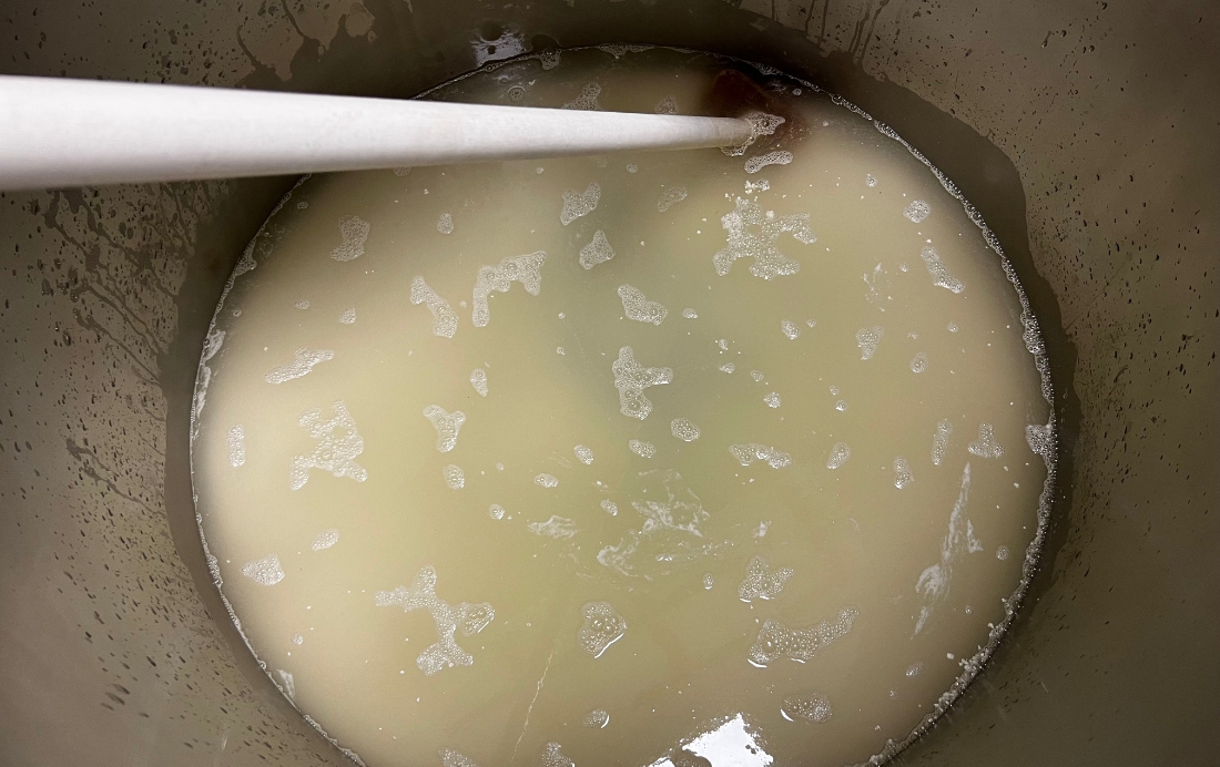 fermentation of the sake