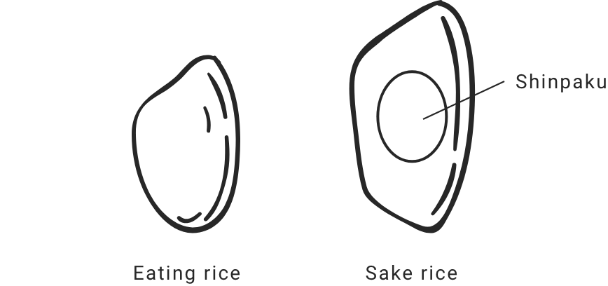 sake rice