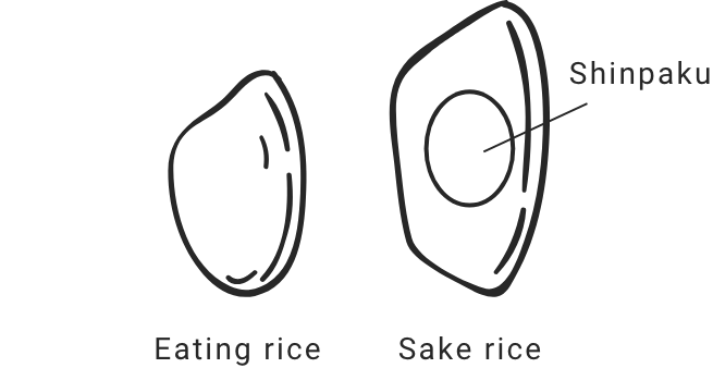 sake rice